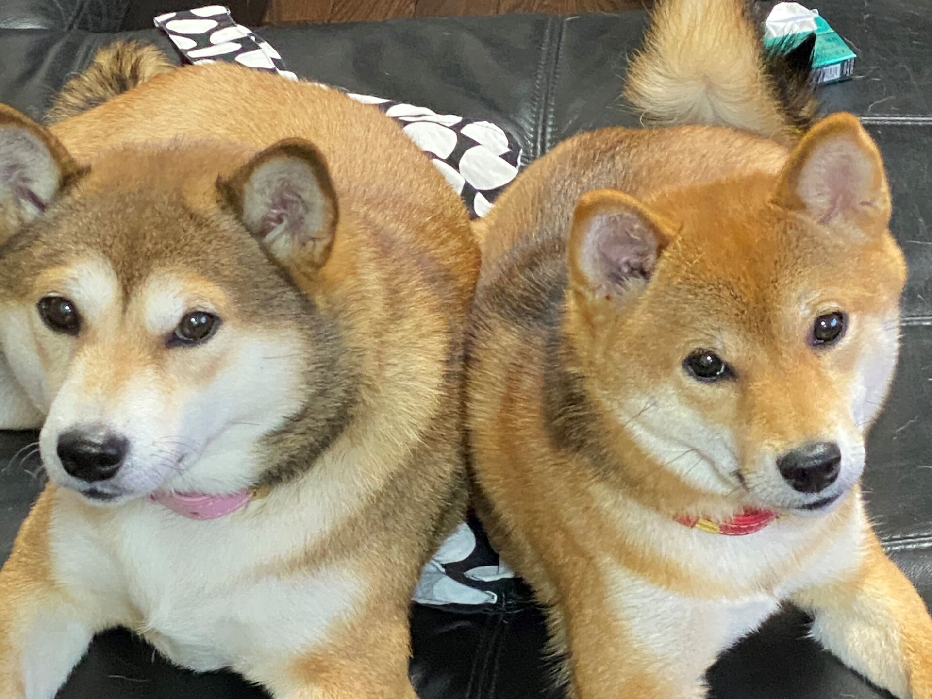ももべに② (2)